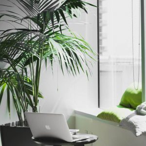about law office